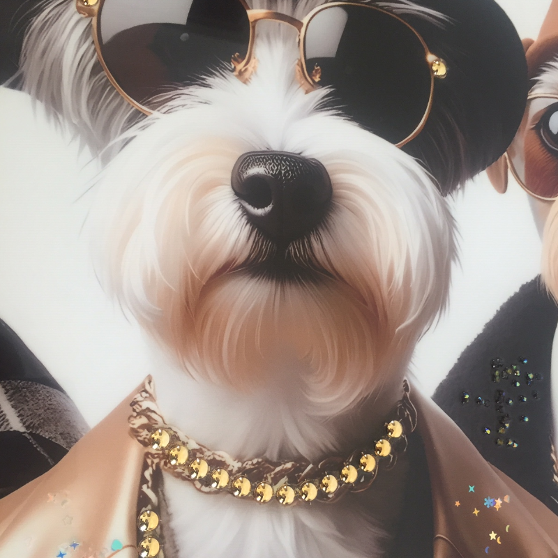 Coole Hunde Senioren mit Sonnenbrillen III, Leinwandbild Höhe: 62cm.